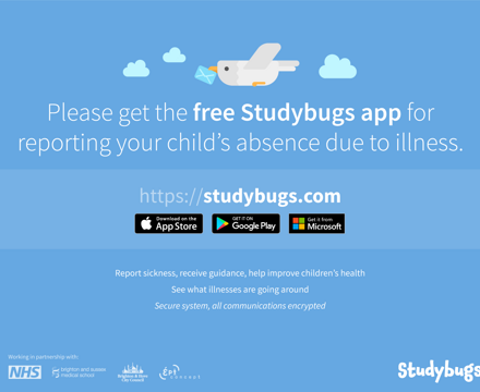 Studybugs Email